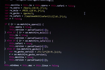 Program code or code snippet
