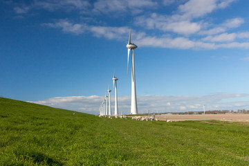 Wind farm