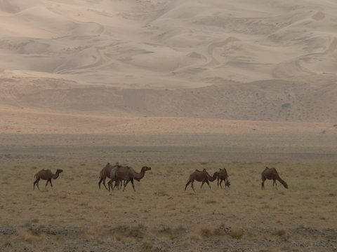 Mongolei Impressionen