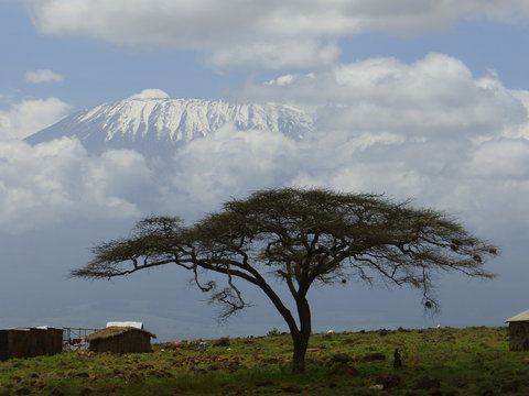 Kenia & Tansania