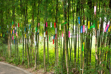 Travelers people join and writing wishes on paper and hang on bamboo tree in Tanabata or Star Japanese festival at Japan village - obrazy, fototapety, plakaty