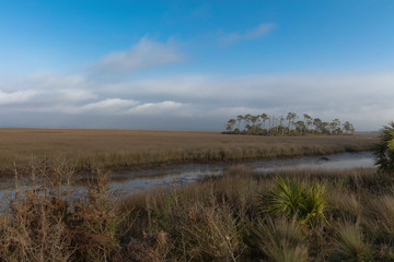 Marshland St Marks Wildlife Refuge