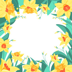 Frame of yellow narcissus flowers and mimosa. Vector illustration on white background. Vector illustration for invitation cards, scrapbooking; postcard, flyer and book.