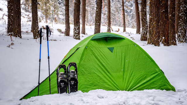 bats and snowshoes in front of tents in winter camp 