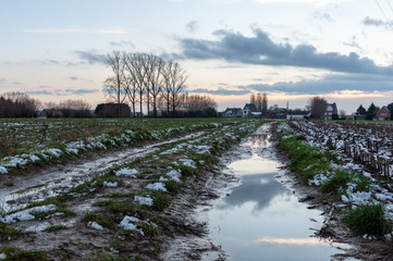 Fototapeta na wymiar Winter Landscape in Belgium