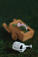 watering pot and wheelbarrow on green background