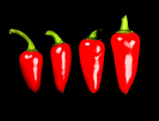 red hot chili pepper