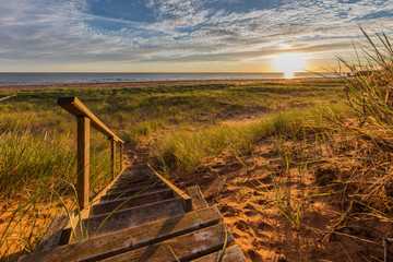 Path to the Beach