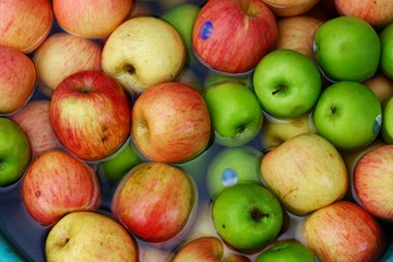 Group of apples in different colors