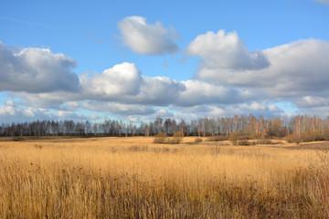 Obraz premium Autumn in Tula region, 2018