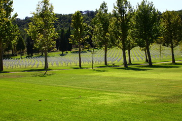 amerikanischer soldatenfriedhof