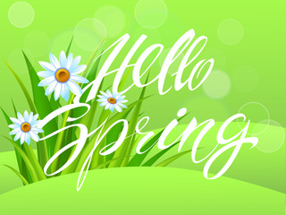 Spring time. Handwritten calligraphy lettering with grass background. Vector image.