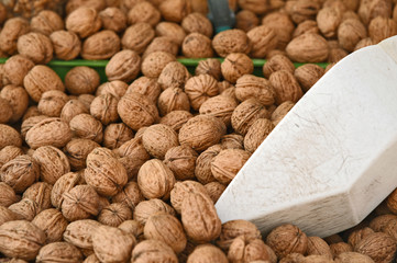A lot of Walnuts group in the box for sell in market with Feed Scoop