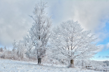   Did you mean: Iarna în Munţii Apuseni - Transilvania, Romania 47/5000 Winter in Apuseni Mountains - Transylvania, Romania Send feedback History Saved Community