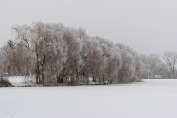 Winter landscape. Winter weather snow is on the ground.