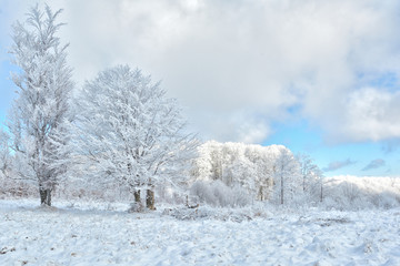   Did you mean: Iarna în Munţii Apuseni - Transilvania, Romania 47/5000 Winter in Apuseni Mountains - Transylvania, Romania Send feedback History Saved Community