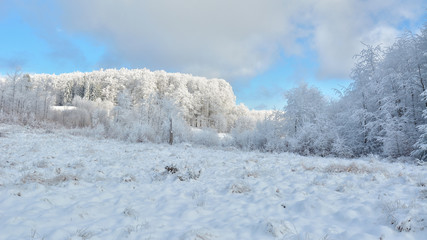   Did you mean: Iarna în Munţii Apuseni - Transilvania, Romania 47/5000 Winter in Apuseni Mountains - Transylvania, Romania Send feedback History Saved Community