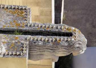épis de protection anti pigeons