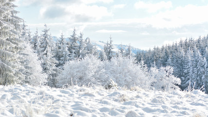   Did you mean: Iarna în Munţii Apuseni - Transilvania, Romania 47/5000 Winter in Apuseni Mountains - Transylvania, Romania Send feedback History Saved Community
