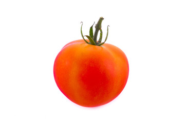 tomato on white background