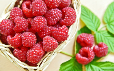 A lot of fresh Raspberry with green leaf in basket on wooden table.