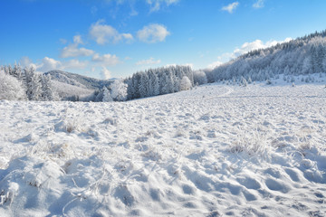   Did you mean: Iarna în Munţii Apuseni - Transilvania, Romania 47/5000 Winter in Apuseni Mountains - Transylvania, Romania Send feedback History Saved Community