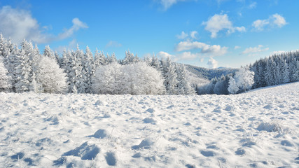 Obraz premium Did you mean: Iarna în Munţii Apuseni - Transilvania, Romania 47/5000 Winter in Apuseni Mountains - Transylvania, Romania Send feedback History Saved Community