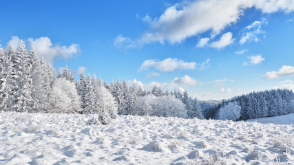   Did you mean: Iarna în Munţii Apuseni - Transilvania, Romania 47/5000 Winter in Apuseni Mountains - Transylvania, Romania Send feedback History Saved Community