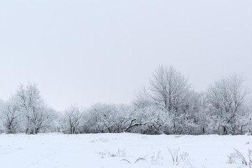 Fototapeta na wymiar Winter landscape. Winter weather snow is on the ground.