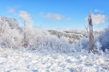  Did you mean: Iarna în Munţii Apuseni - Transilvania, Romania 47/5000 Winter in Apuseni...