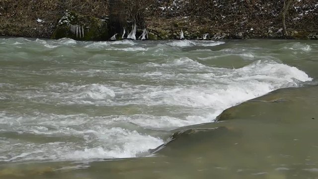 Ice on branches and the river
