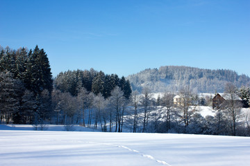 Winter landscape with cottages