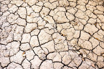 Dry land texture. Dry cracked land surface. Drought land. Drought earth background.