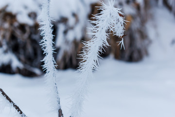 Winter weather. It covers everything in the yard.