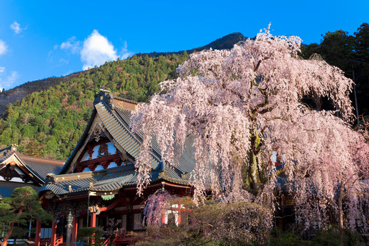 2 Best 身延山 Images Stock Photos Vectors Adobe Stock 2 Best 身延山 Images Stock Photos Vectors Adobe Stock