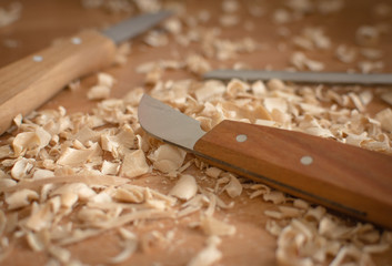 Woodcarving with Knives and Chisels