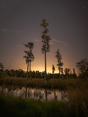 Swamp Sunset