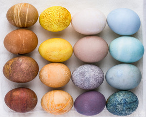 Food Dyed Eggs