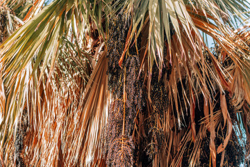 background of tinsel