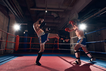 Two healthy sportsmen male boxers training kickboxing, fighting in the ring at the sport club