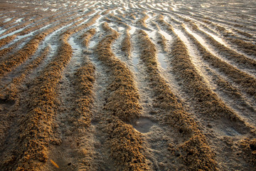 Sand Patterns