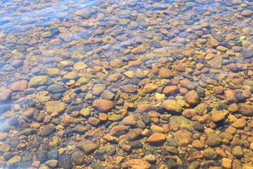 Beautifully shimmering in the water objects (stones, coins)