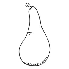 Vector Sketch Pear
