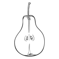 Vector Sketch Half of Pear