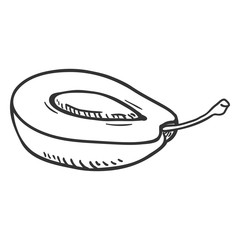 Vector Sketch Half of Plum