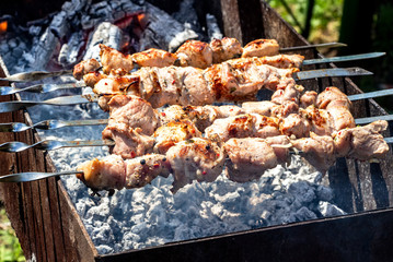 Appetizing hot shish kebab or shashlik on skewers