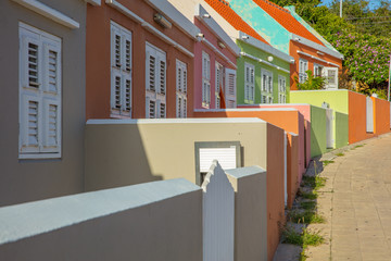 Tropical Row Houses