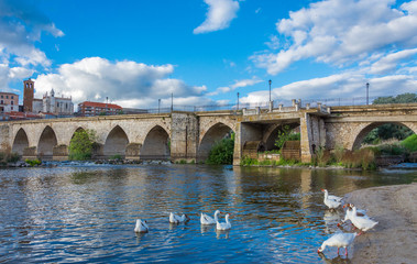 Fototapeta premium rio y puente medieval con patos