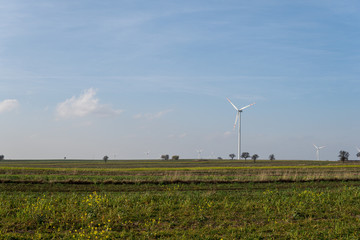 wind turbines between fields