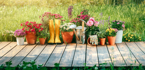 Gardening tools and flowers in the garden